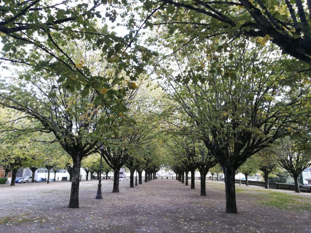 Assistance aux gestionnaires A comme Arbre