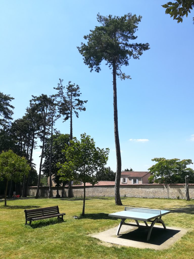 L'historique d'un arbre est à prendre en compte.