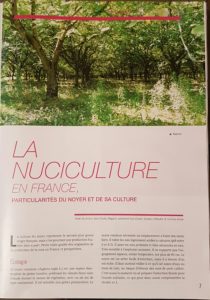 article arboriculture