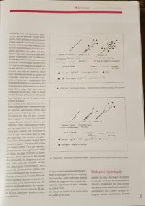 article arboriculture